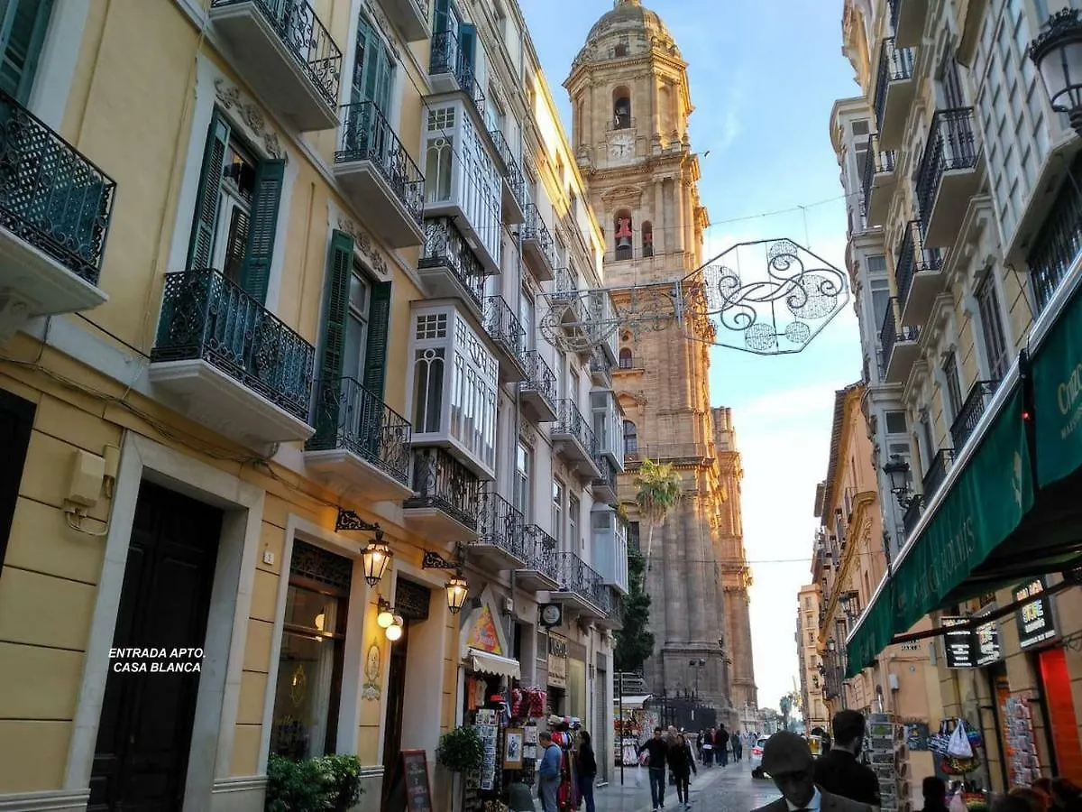 Luxury Catedral location